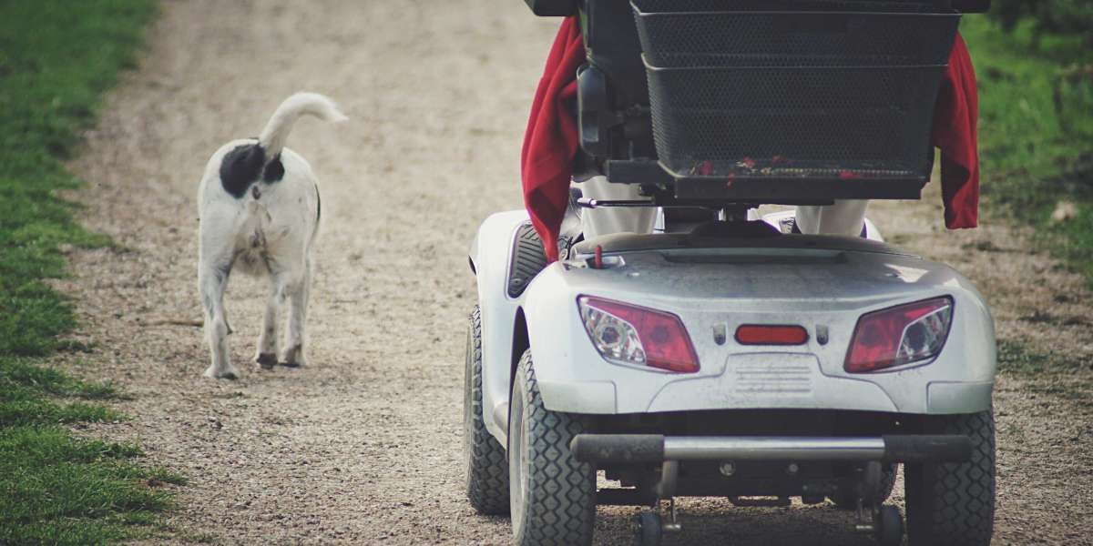 Why Everyone Is Talking About Basic Mobility Scooters Today